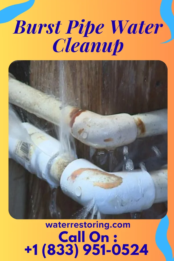 Burst Pipe Water Cleanup in Lore City, OH