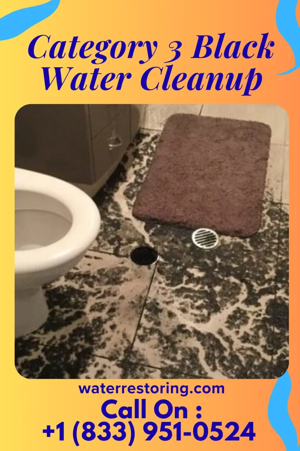 Category 3 Black Water Cleanup in Lore City, OH