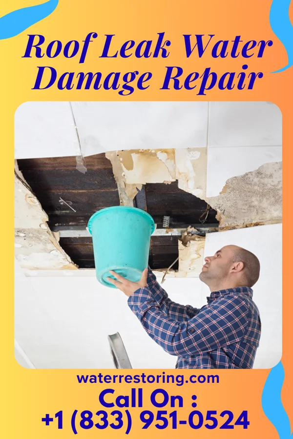 Roof Leak Water Damage Repair in Lore City, OH