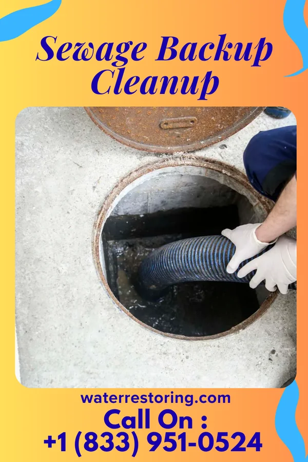 Sewage Backup Cleanup in Lore City, OH