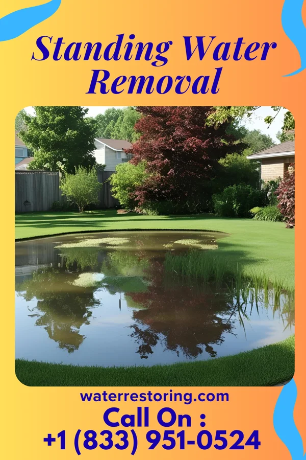 Standing Water Removal in Lore City, OH